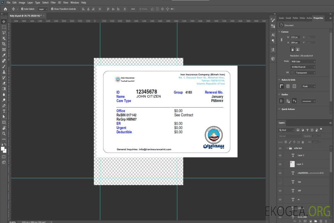 Carte d'assurance maladie iranienne template
